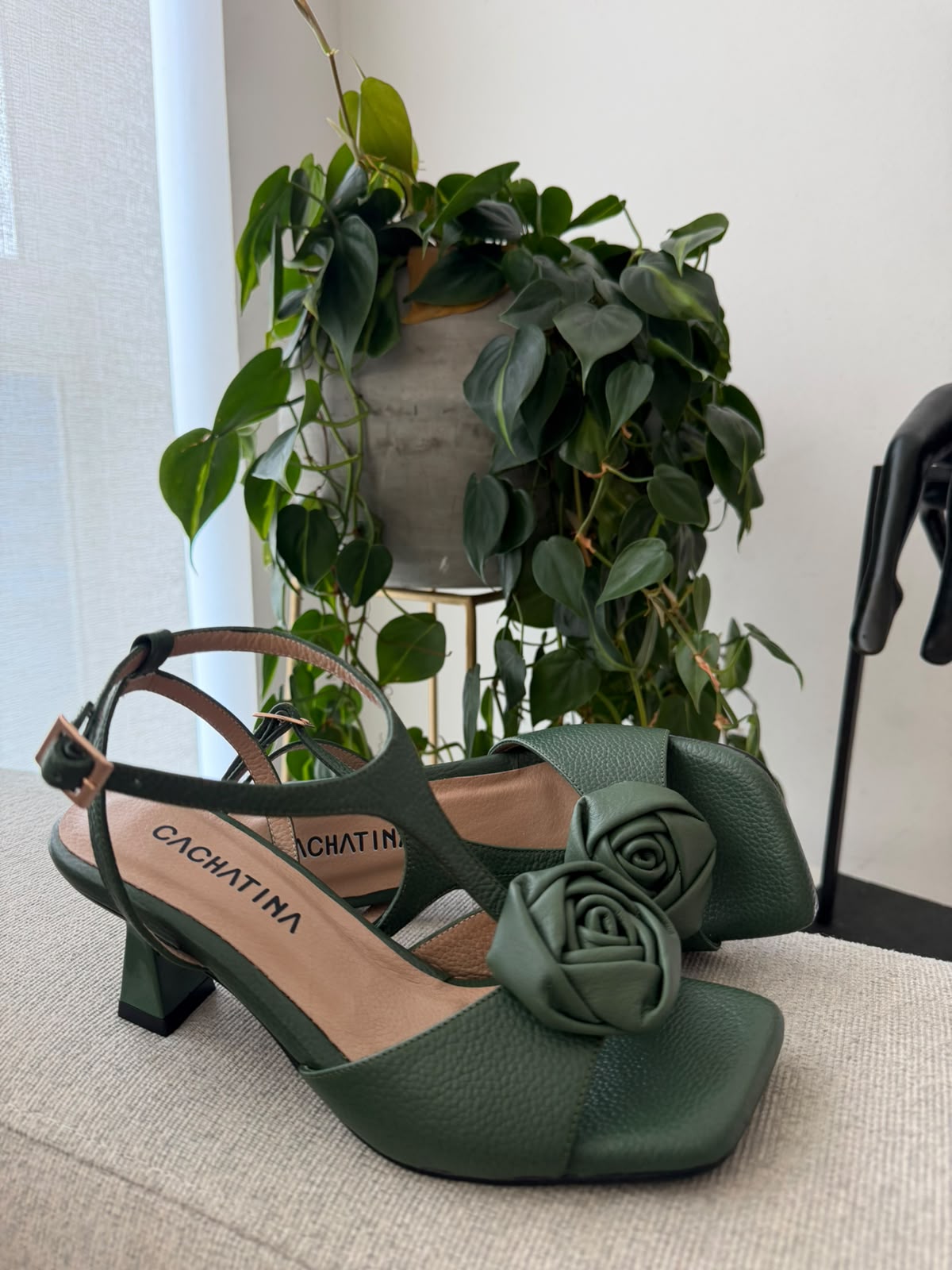 TACON RIMINI - BAMBIE VERDE OLIVA X FRAPPE