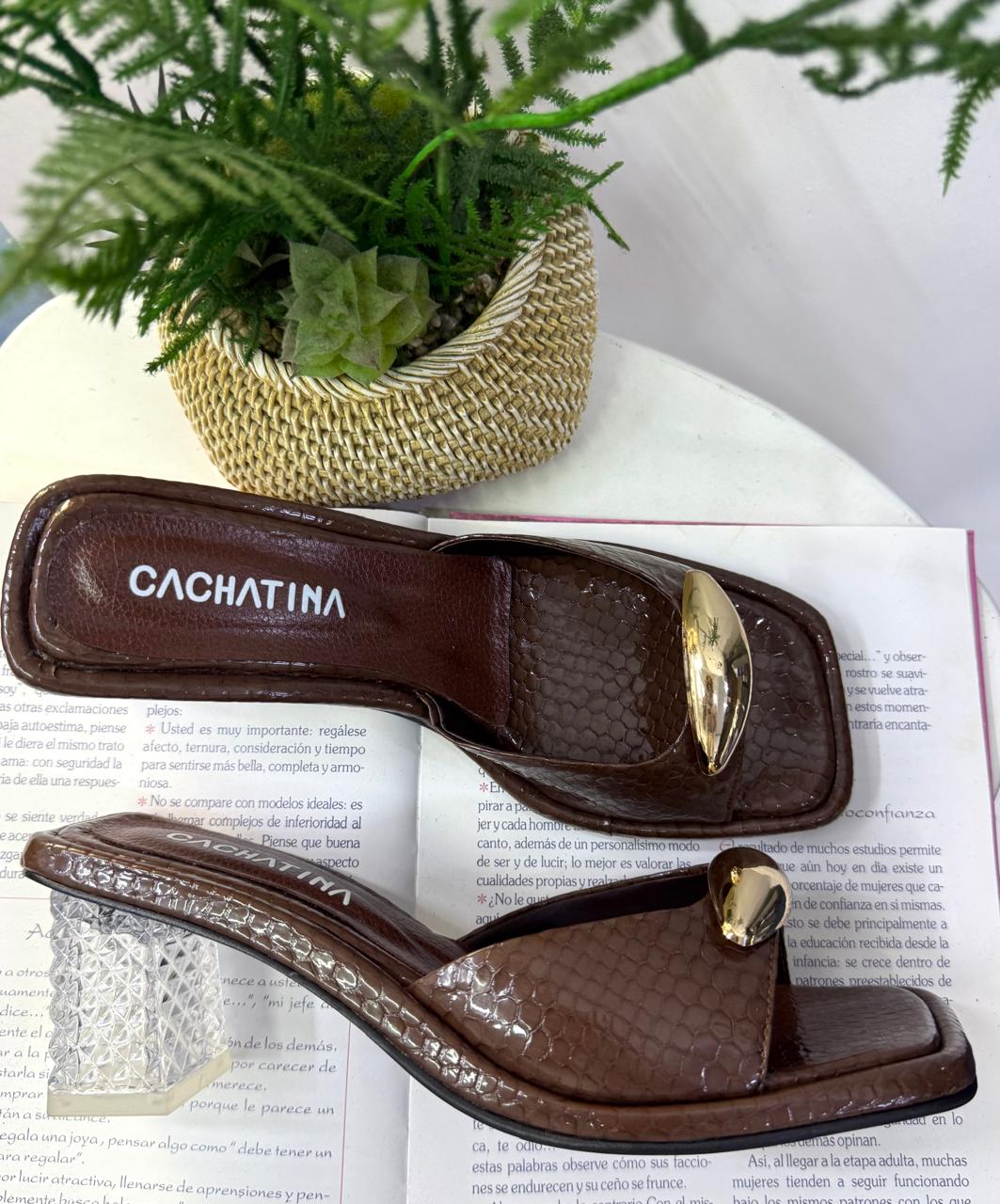 DELFIN- PASION CASTOR - TACON CRISTAL 5.5  - ESTILETO MUJER - CALZADO CACHATINA